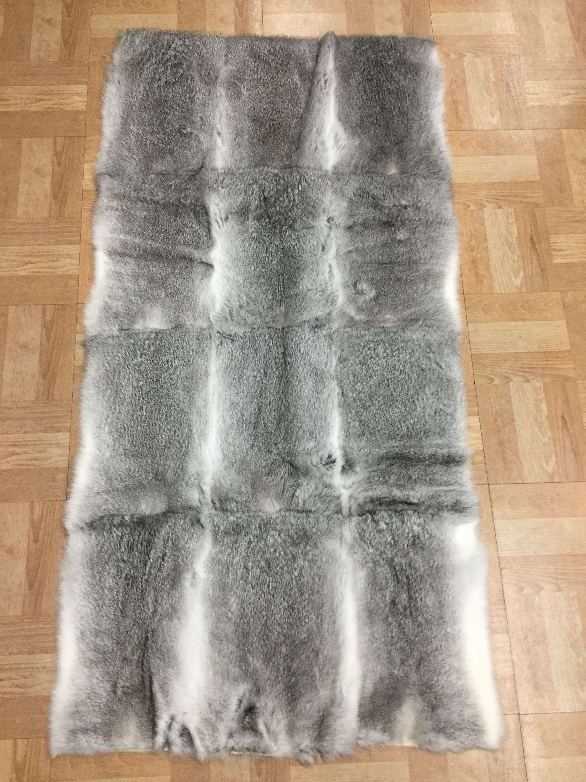 Grey Rabbit Plate
