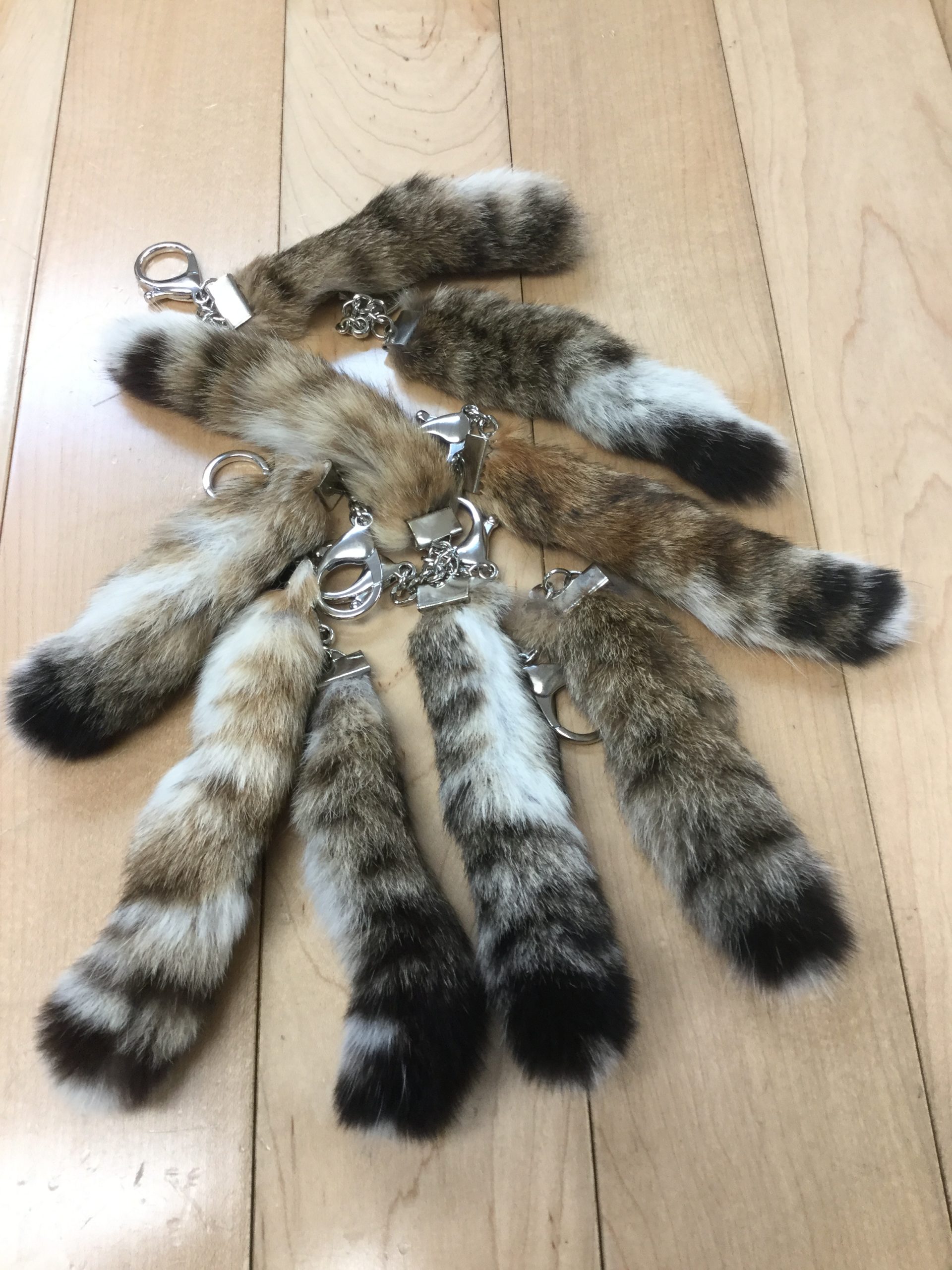 Bobcat