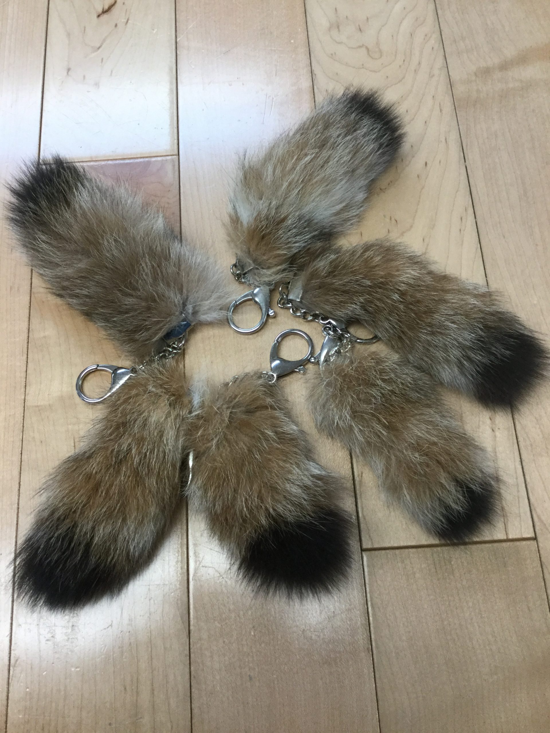 Lynx
