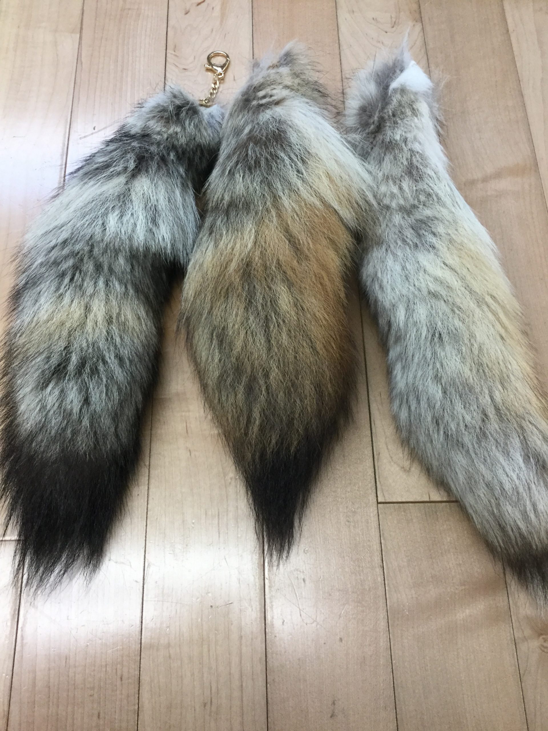Coyote With Keychain