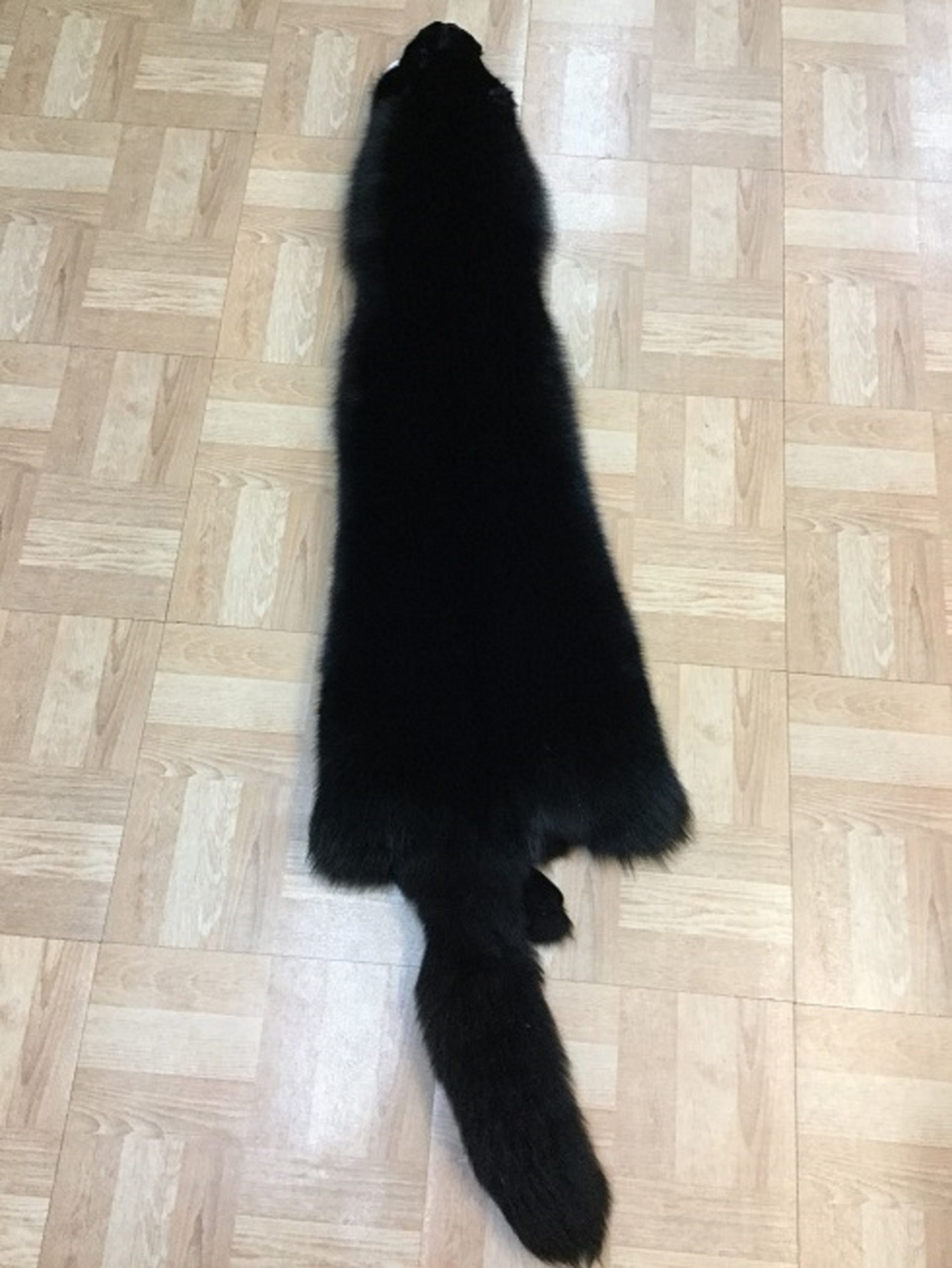 Black Fox