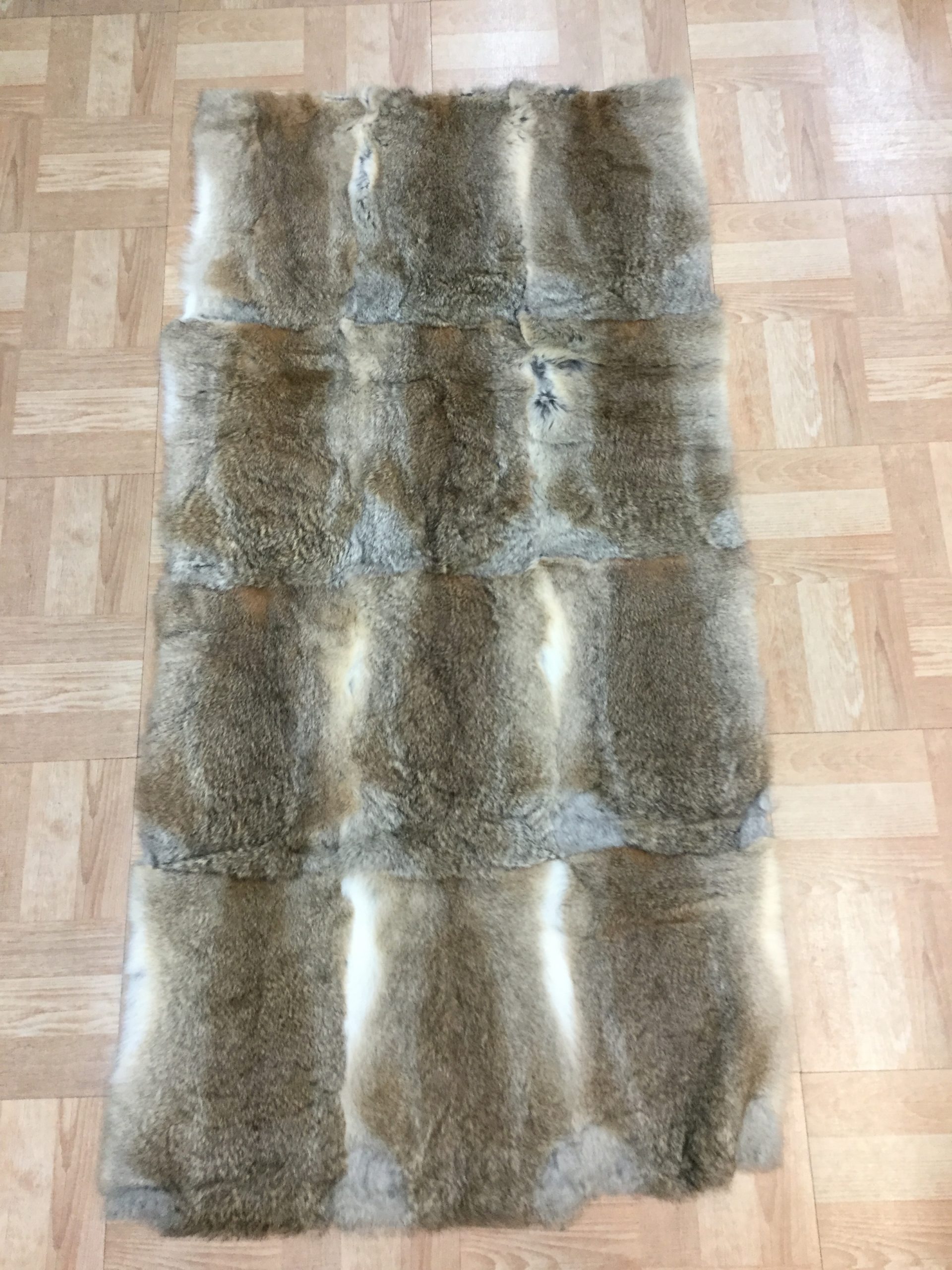 Brown Rabbit Plate