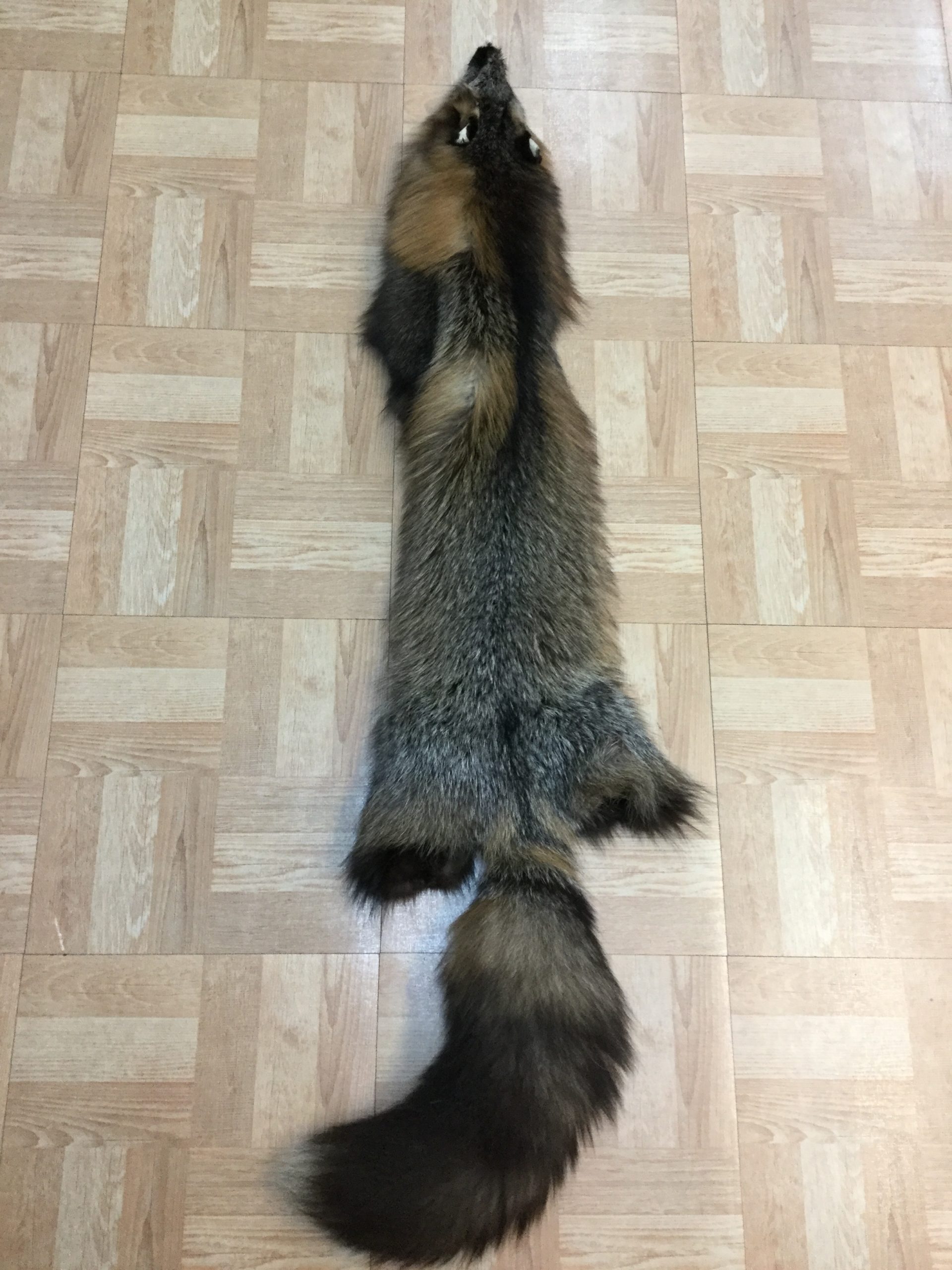 Cross Fox