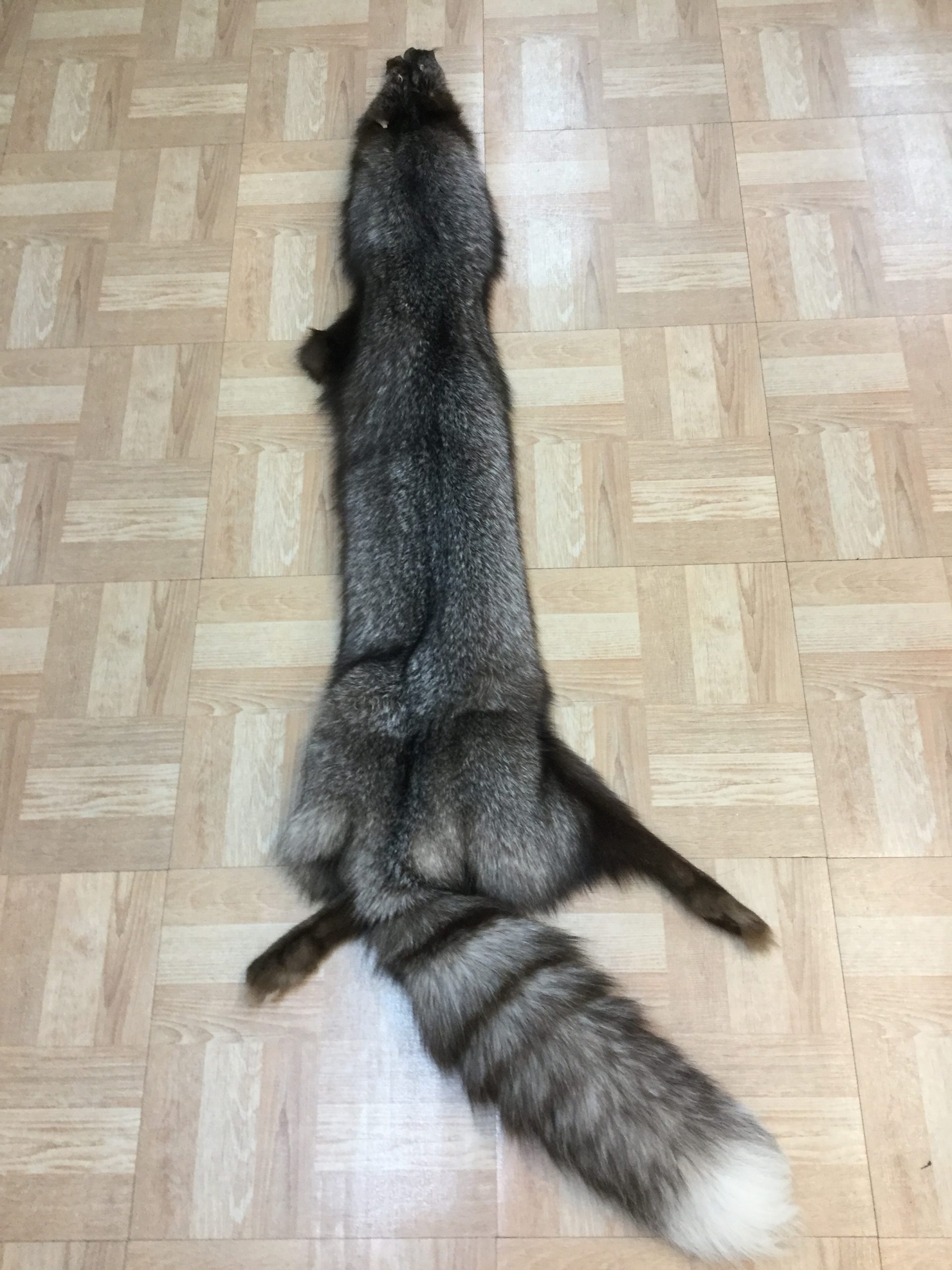 Crystal Fox