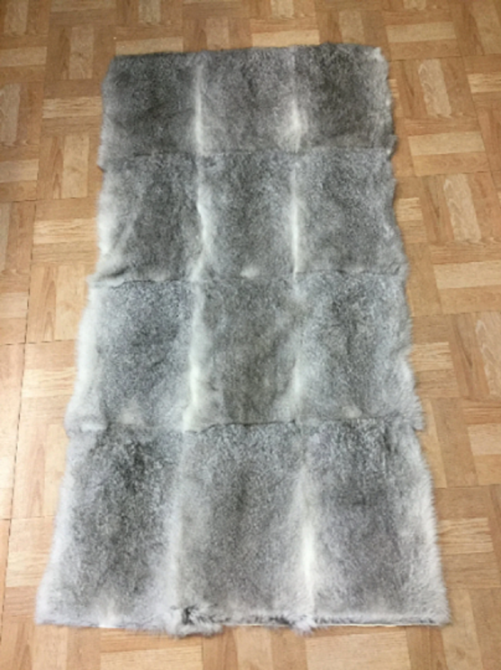 Grey Rabbit Plate