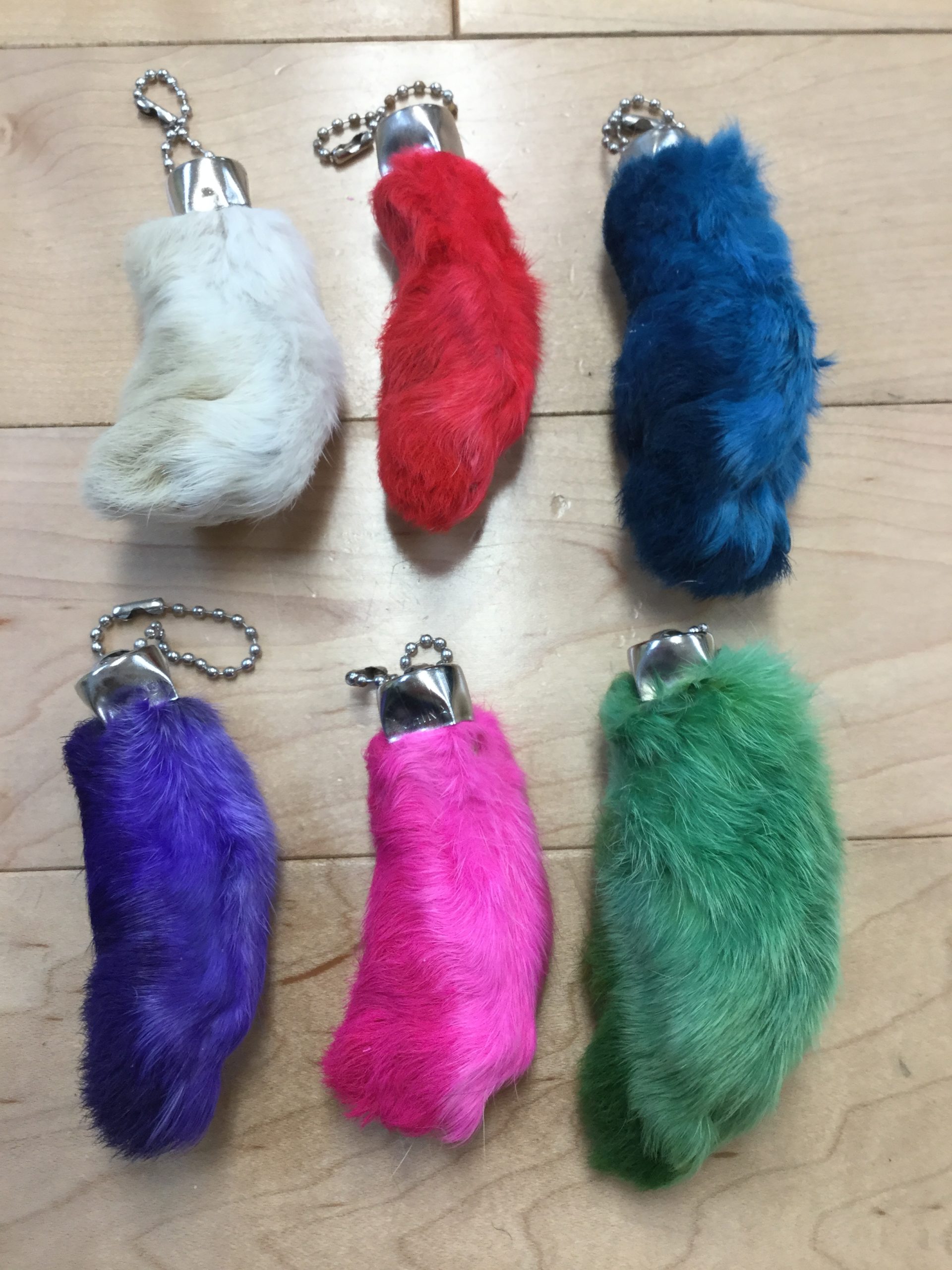 Rabbits feet