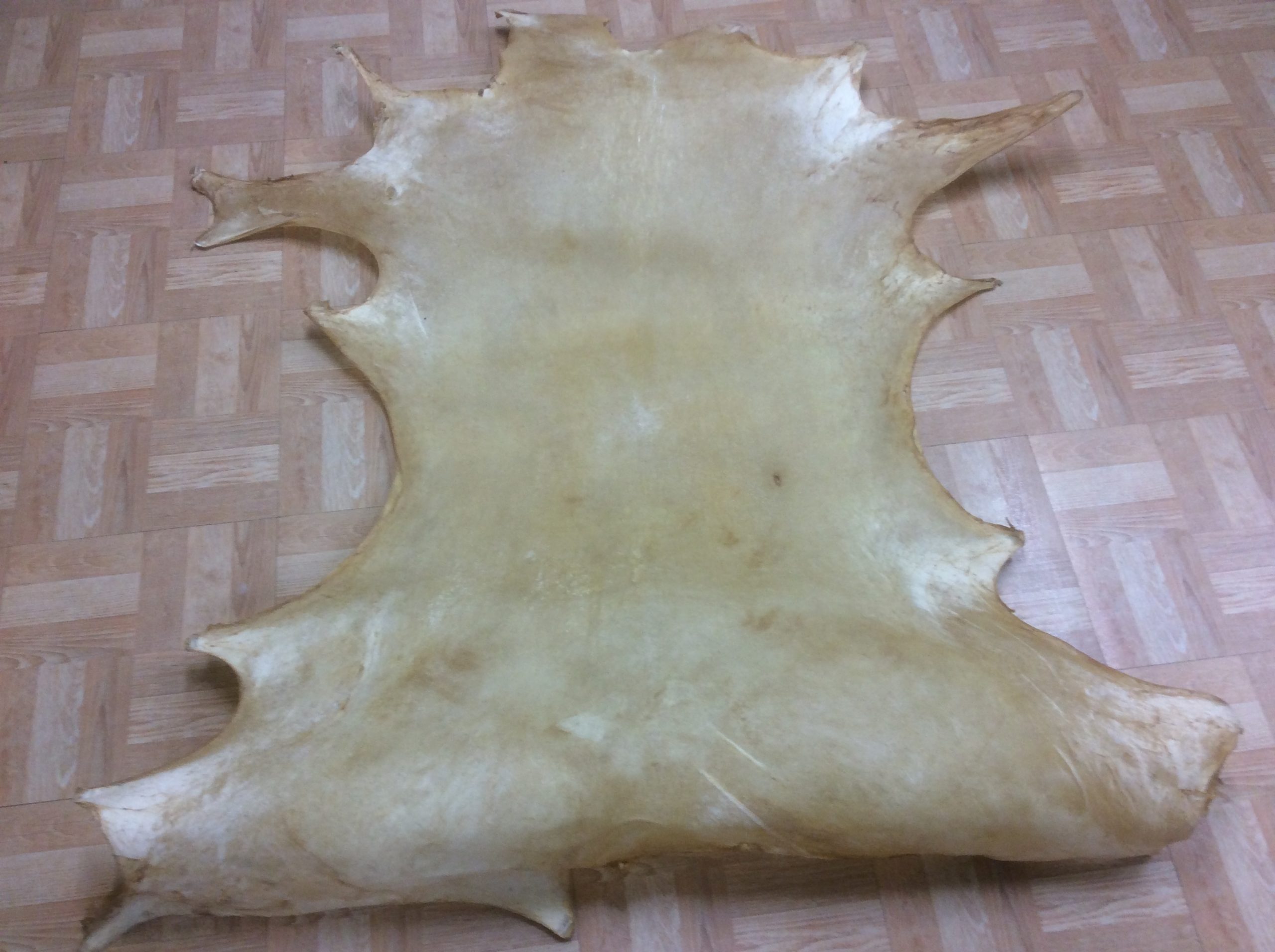 Deer Rawhide