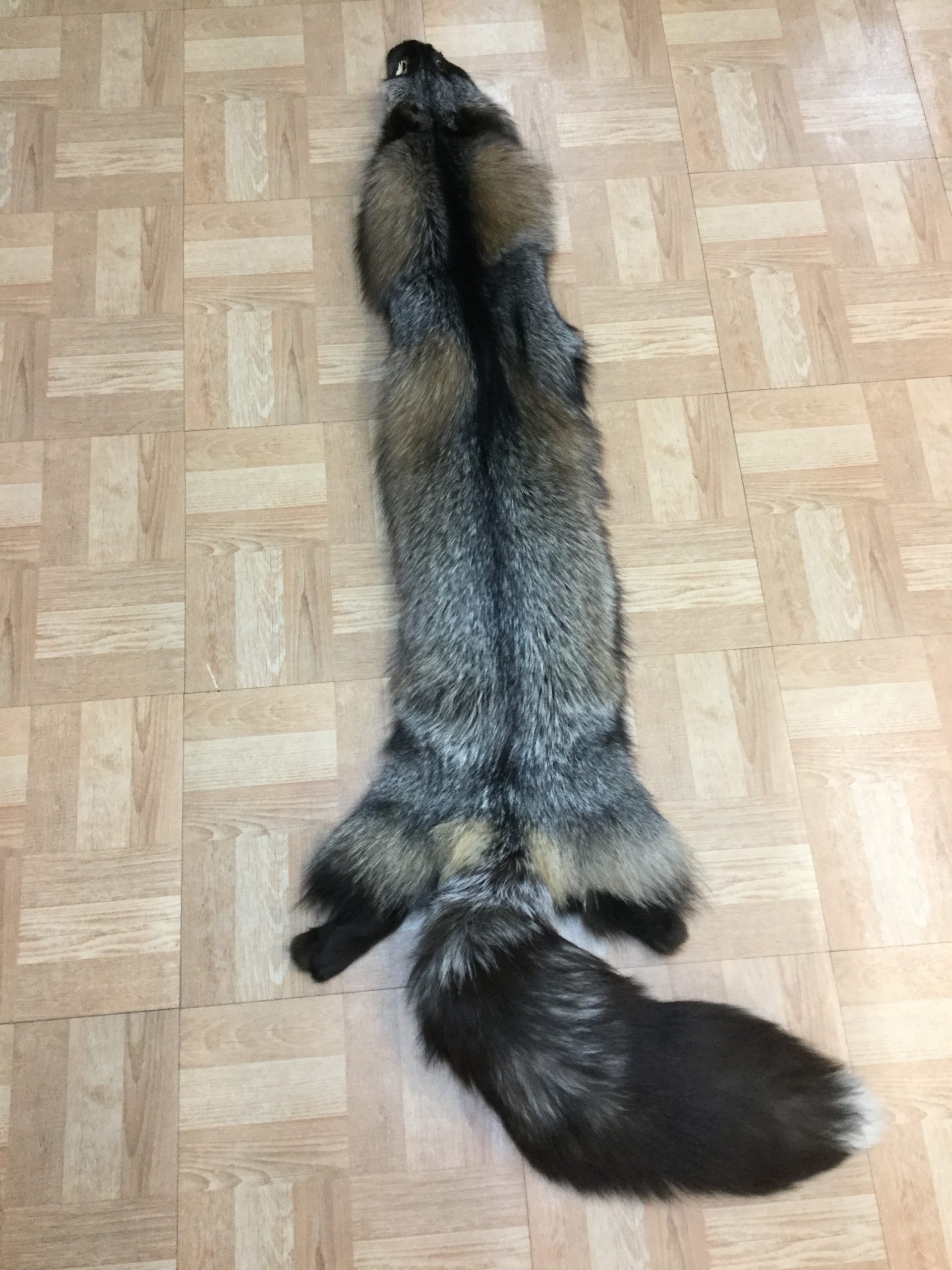 Silver Cross Fox