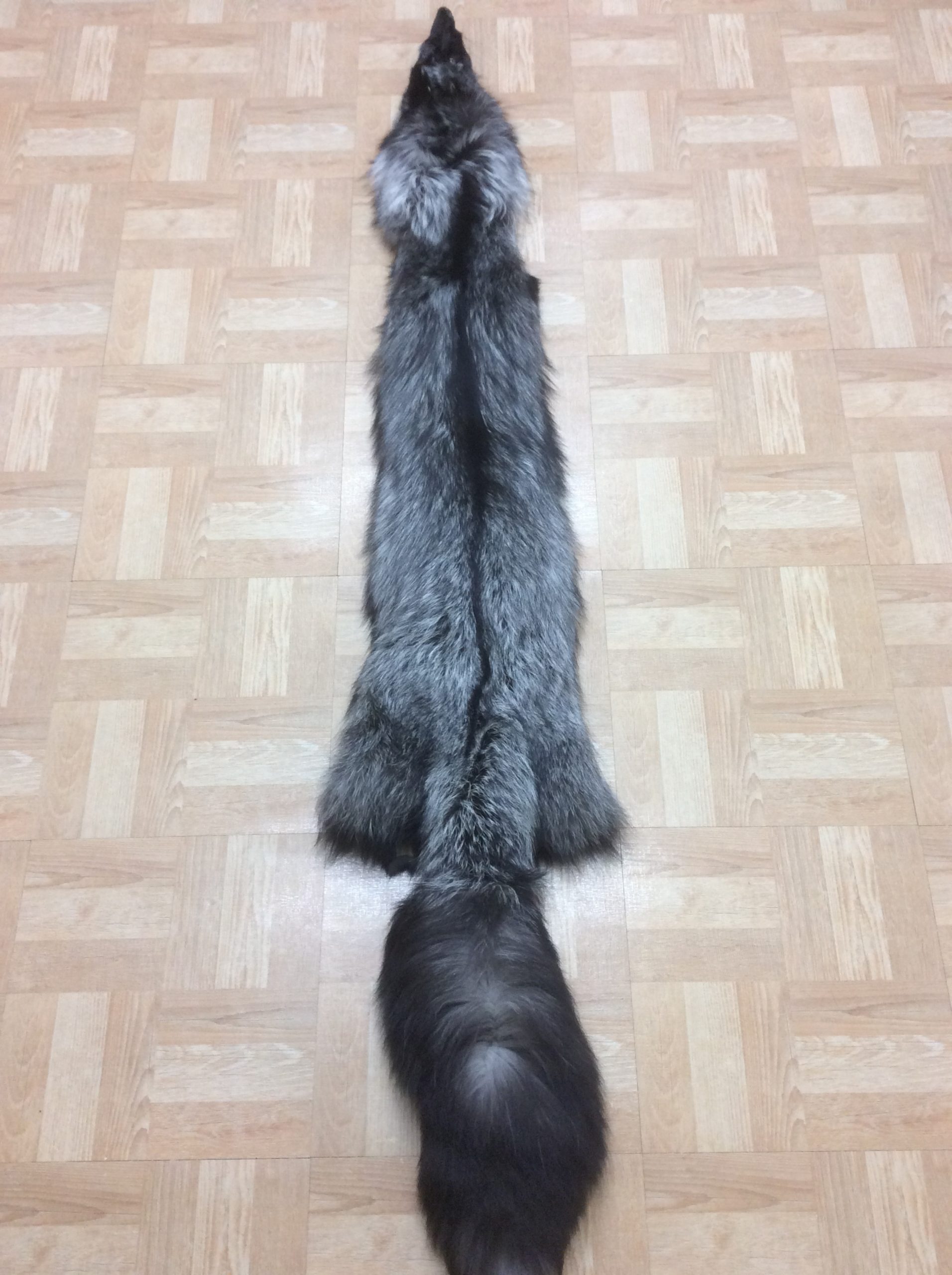 Silver Fox