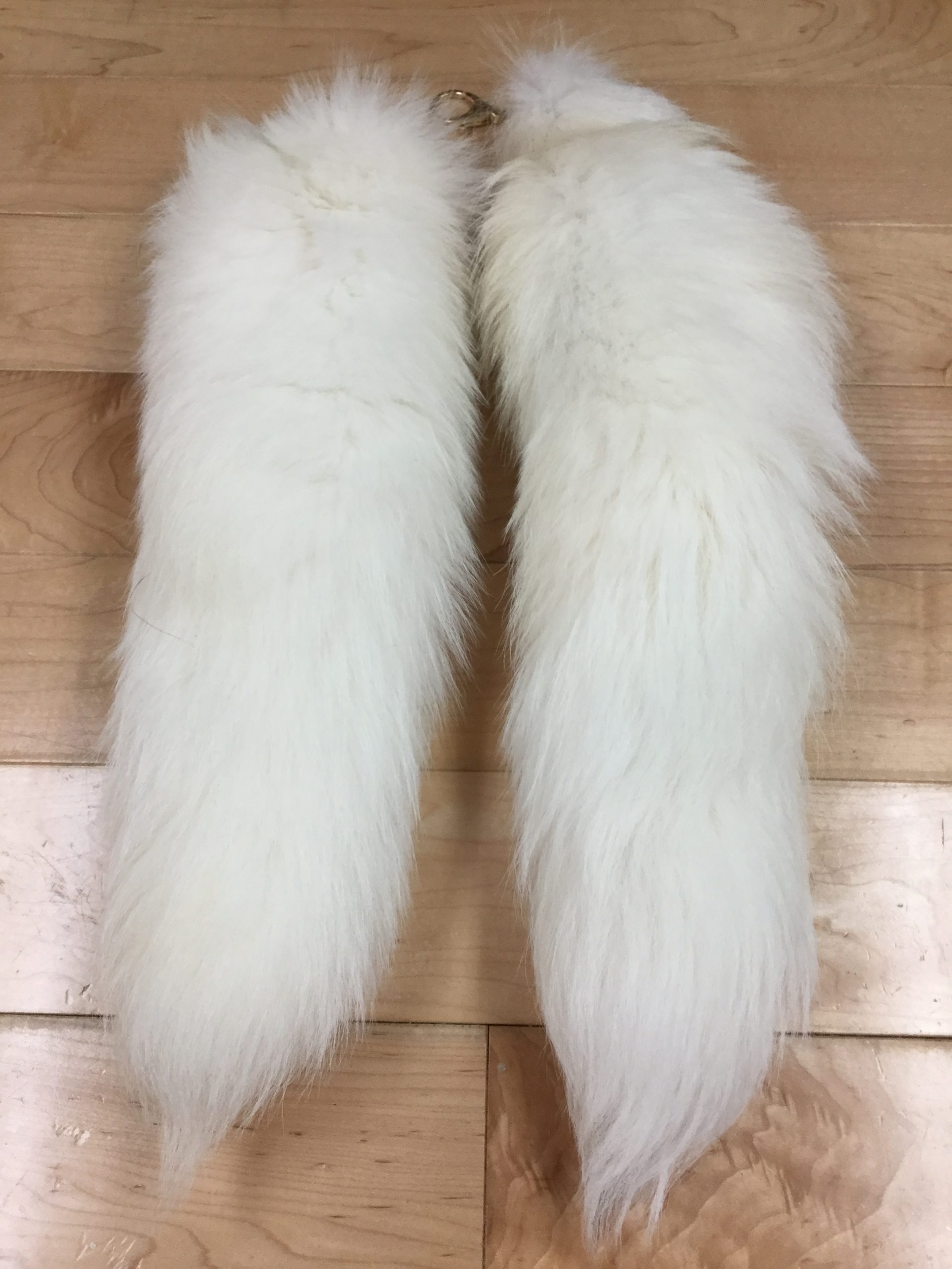 White Fox