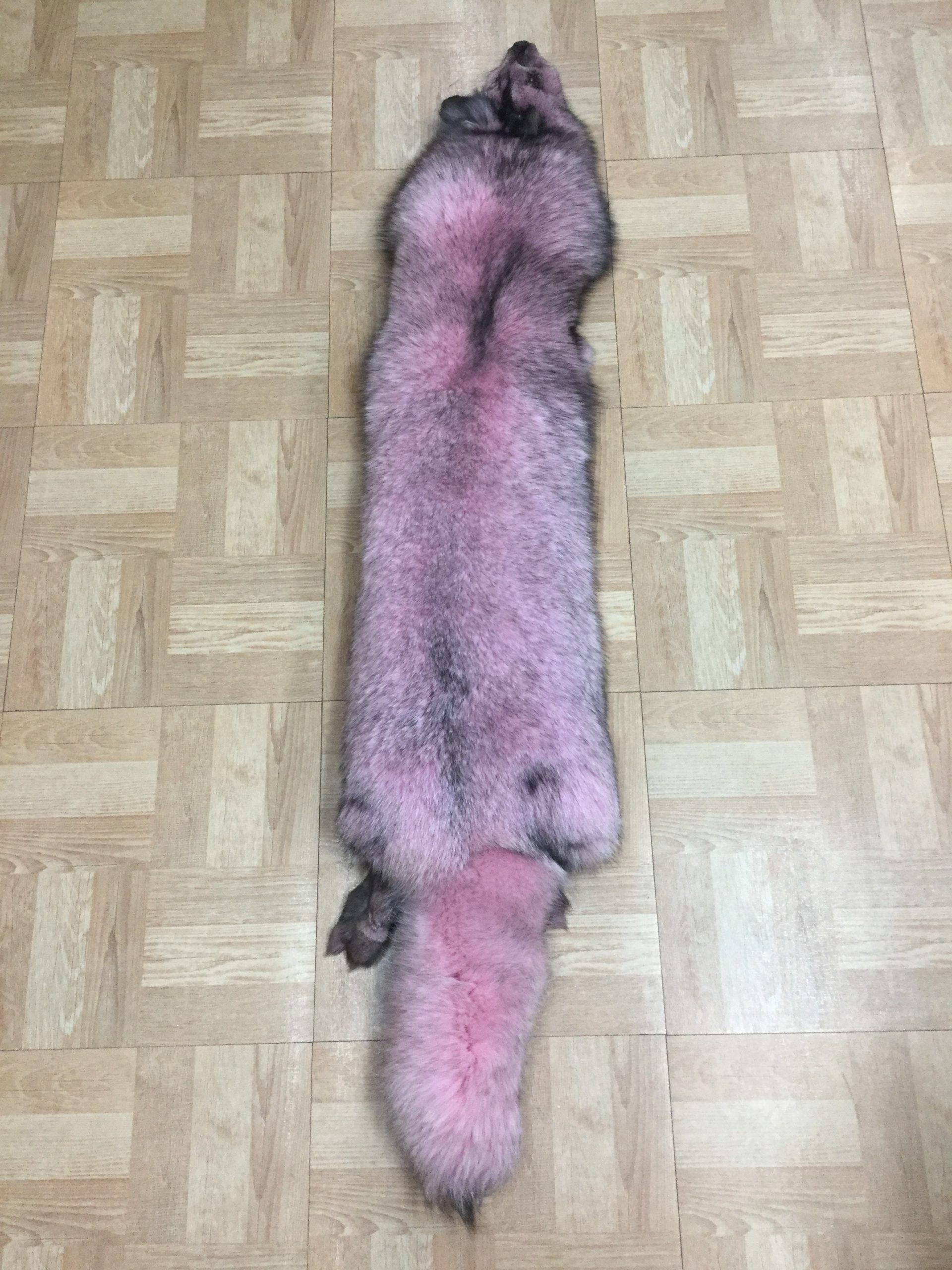 Dyed Pink Fox